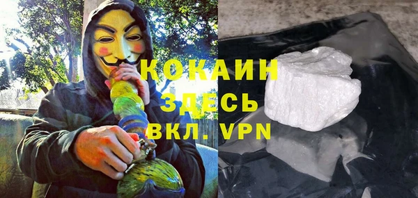 винт Алзамай