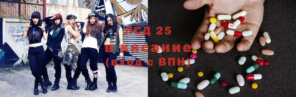 ГАЛЛЮЦИНОГЕННЫЕ ГРИБЫ Алексеевка