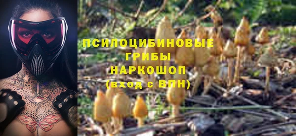 ГАЛЛЮЦИНОГЕННЫЕ ГРИБЫ Алексеевка