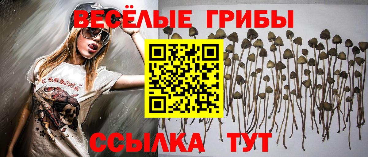 Псилоцибиновые грибы MAGIC MUSHROOMS Брянск