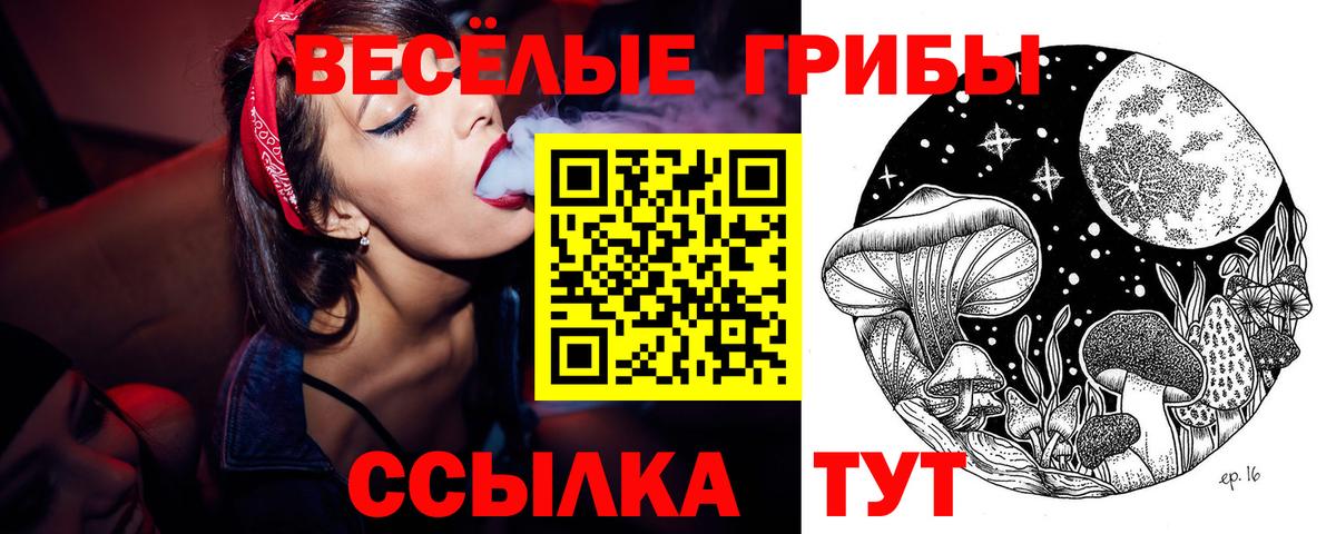 Галлюциногенные грибы прущие грибы  Вход с VPN  Галлюциногенные грибы мицелий  Брянск 