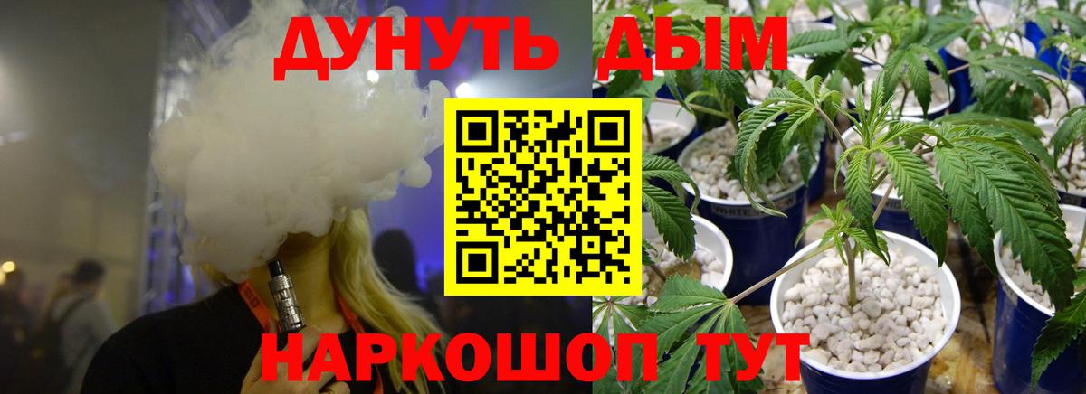 Брянск  Марихуана сатива  Марихуана планчик  Бошки Шишки план  Вход с VPN  Бошки Шишки сатива 